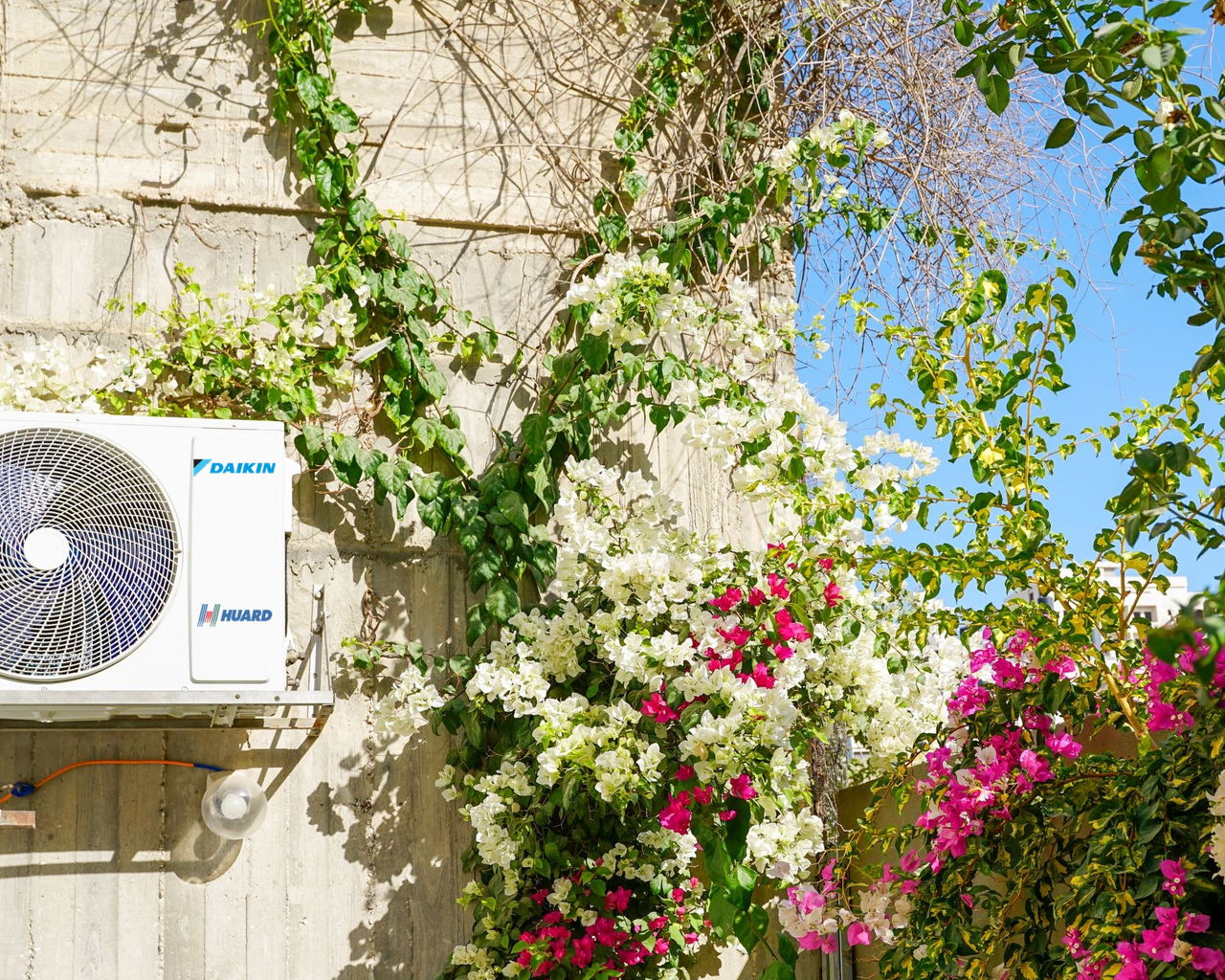Unité extérieure Daikin posée par HUARD sur un mur de jardin, entourée de bougainvilliers